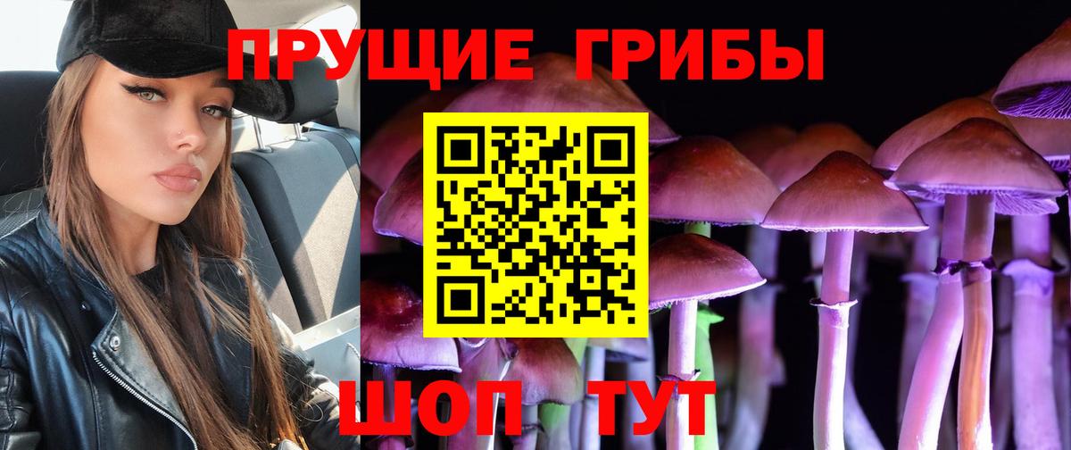Баксан  Псилоцибиновые грибы ЛСД  Вход с VPN 